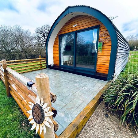 Beech Pod Cabin In Beautiful Surroundings Wrexham Exterior photo