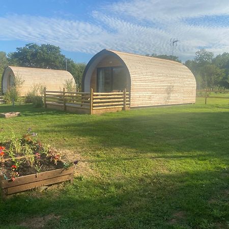 Beech Pod Cabin In Beautiful Surroundings Wrexham Exterior photo