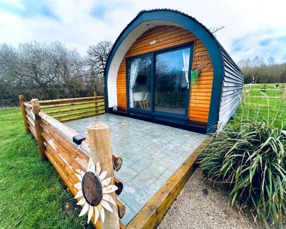 Beech Pod Cabin In Beautiful Surroundings Wrexham Exterior photo